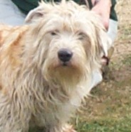 Rainbow Bridge Glen - maggie