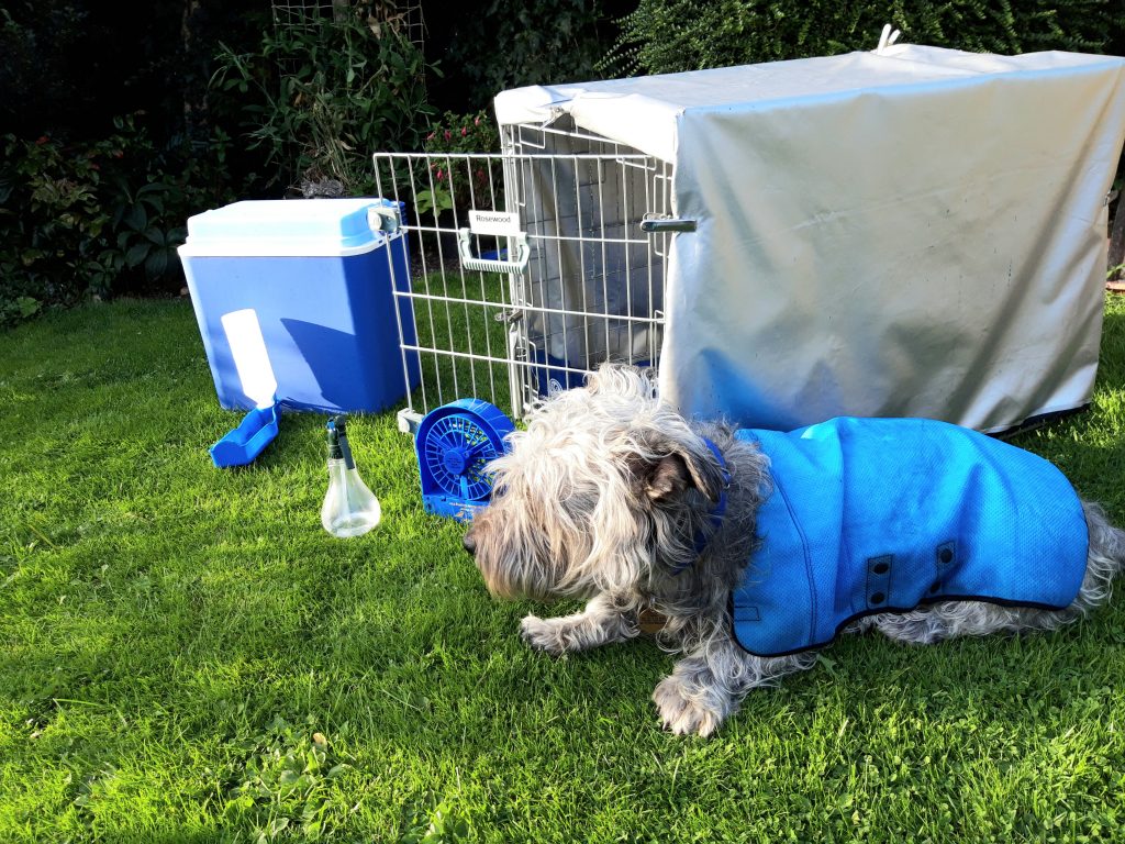 Hot weather gear for keeping Glens cool - Connor