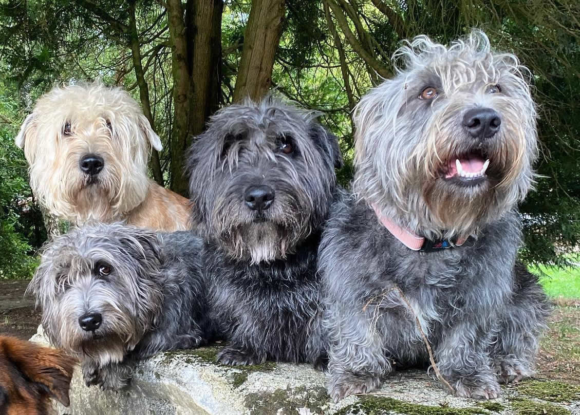 Four Glens sitting on a stone bench